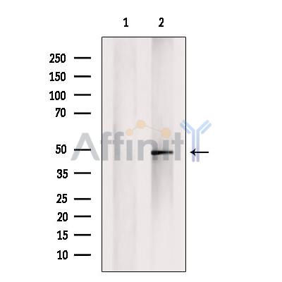 Валидация Affinity DF8117 - 19964