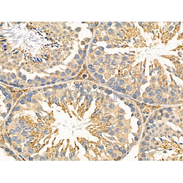 Валидация Affinity DF4240 - 15622