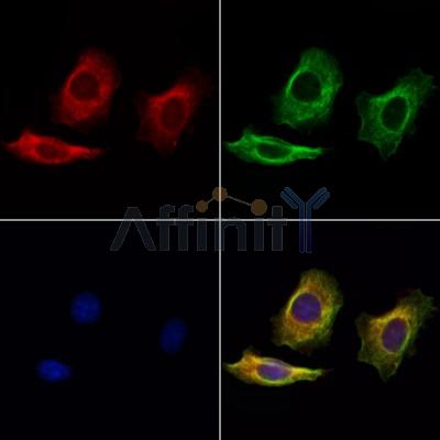 Валидация Affinity DF13730 - 9369