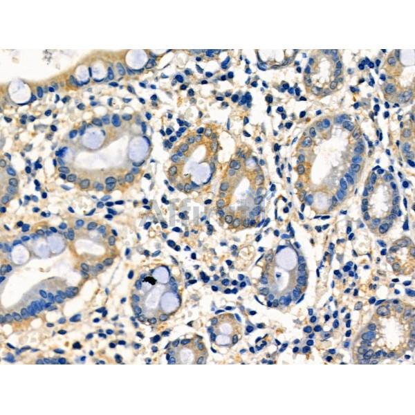 Валидация Affinity DF3016 - 13751