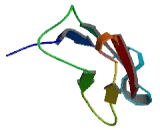 Roundabout, Axon Guidance Receptor, Homolog 4 (ROBO4) Roundabout, Axon Guidance Receptor, Homolog 4 (ROBO4)