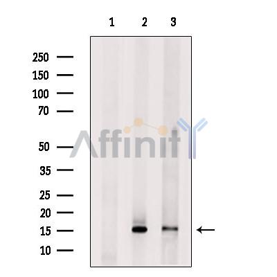 Валидация Affinity DF6366 - 17714