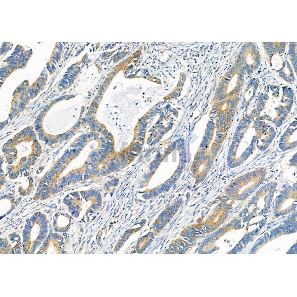 Валидация Affinity AF6710 - 3966