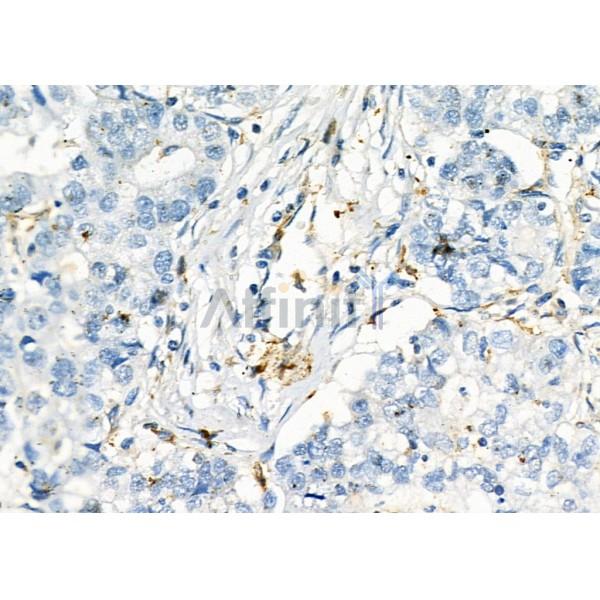 Валидация Affinity DF7877 - 19700