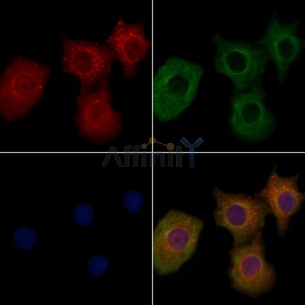 Валидация Affinity DF5006 - 16873