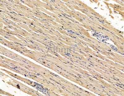 Валидация Affinity DF15024 - 11236