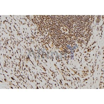 Валидация Affinity DF4787 - 16516