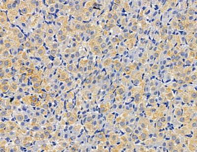 Валидация Affinity DF14561 - 10557