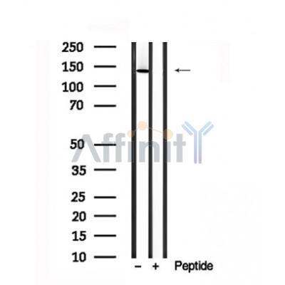 Валидация Affinity AF7687 - 4372