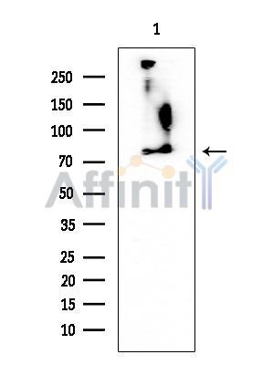 Валидация Affinity AF6096 - 3301