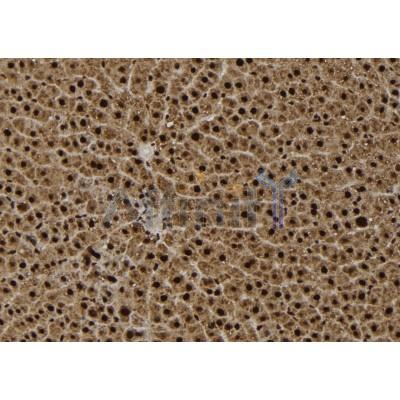 Валидация Affinity DF9508 - 22142