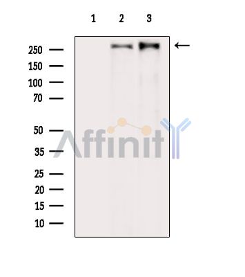 Валидация Affinity AF6906 - 4107