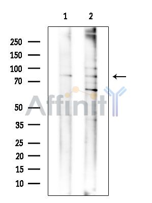 Валидация Affinity DF14652 - 10689