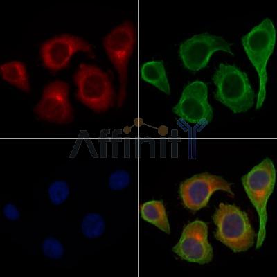 Валидация Affinity AF6409 - 3703