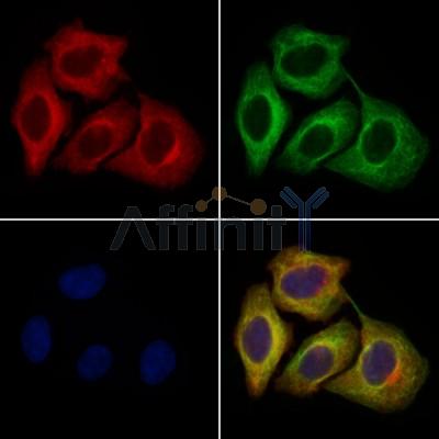 Валидация Affinity DF2953 - 13696