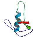 Receptor Accessory Protein 4 (REEP4) Receptor Accessory Protein 4 (REEP4)