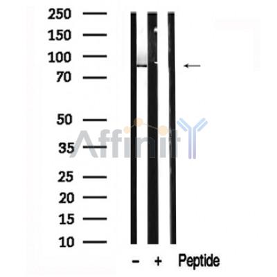 Валидация Affinity AF7639 - 4313