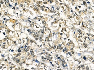 Валидация Affinity DF14111 - 9903