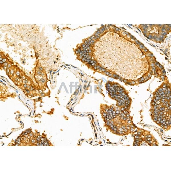 Валидация Affinity DF6989 - 18627