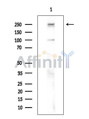 Валидация Affinity DF13761 - 9422