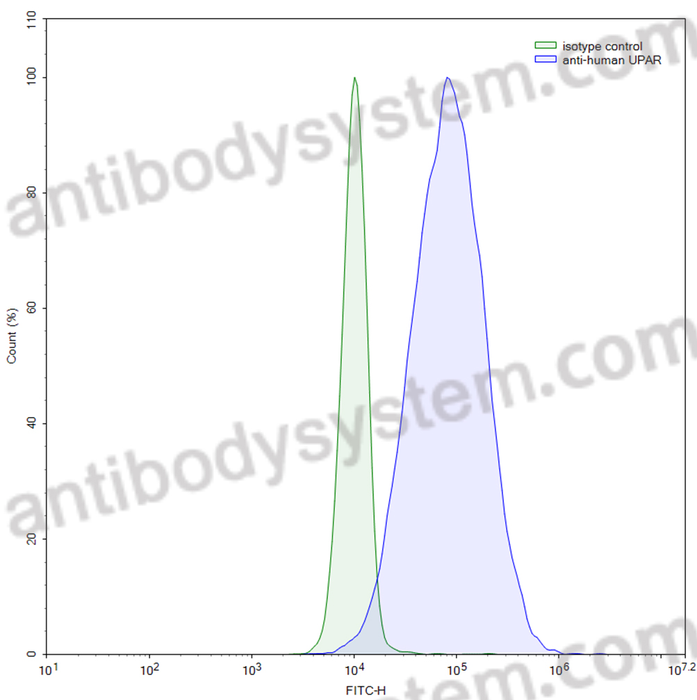 Валидация AntibodySystem MHF99105