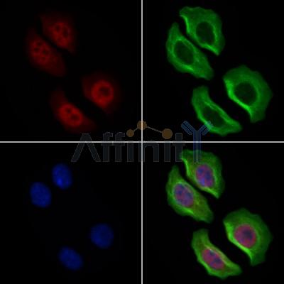 Валидация Affinity AF6445 - 3762