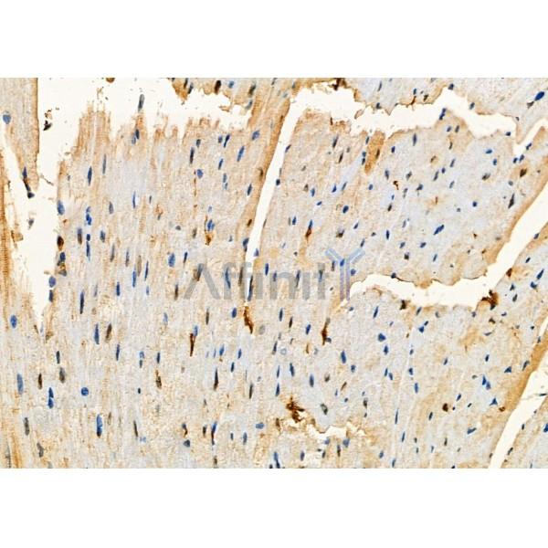 Валидация Affinity DF2670 - 13371