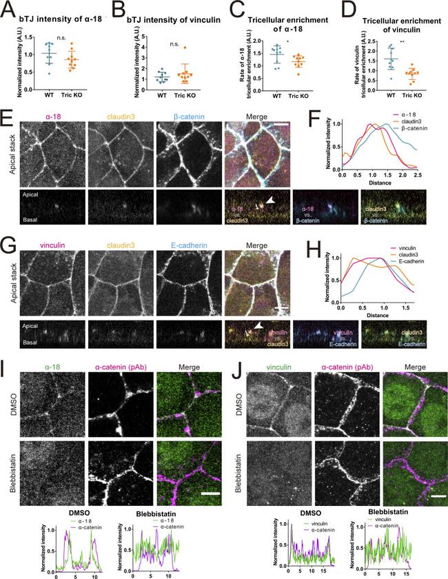 Валидация AssayVector ARM1414(1191)