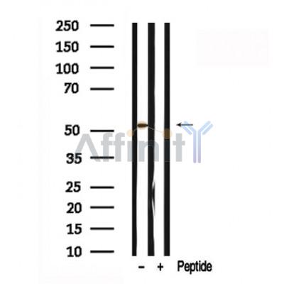 Валидация Affinity AF7610 - 4280