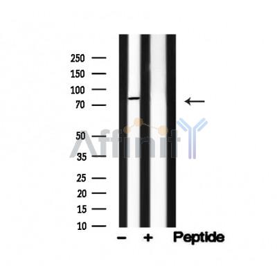 Валидация Affinity AF4756 - 2374