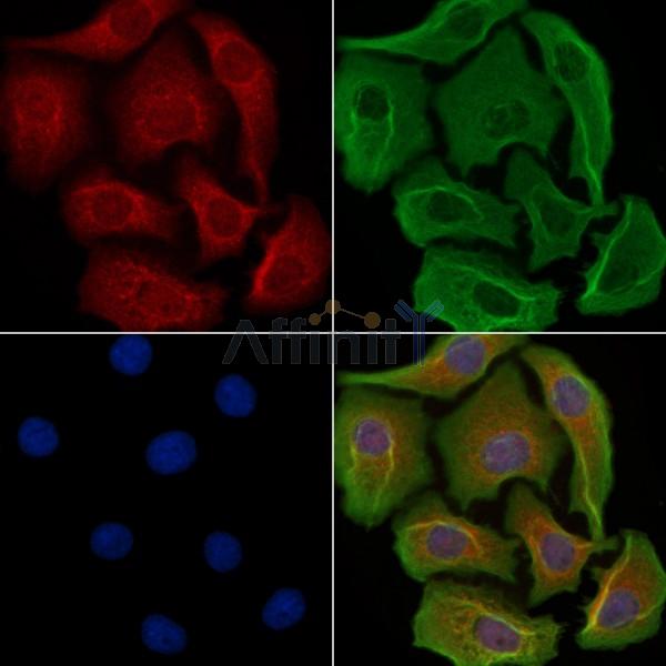 Валидация Affinity DF3357 - 14227