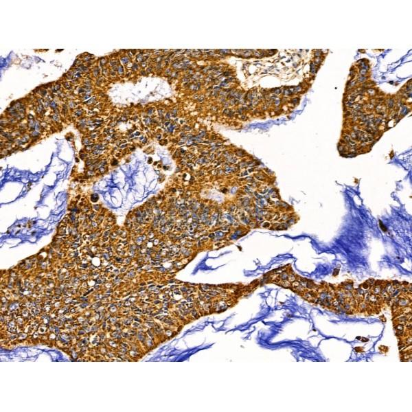 Валидация Affinity AF5374 - 2997