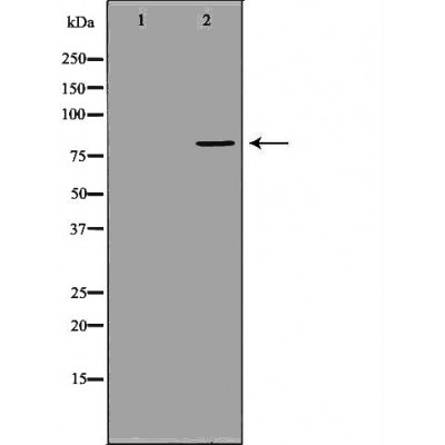 Валидация Affinity DF6612 - 18069
