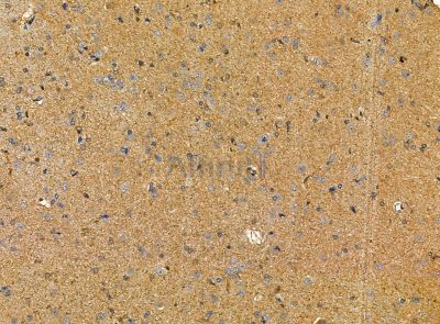 Валидация Affinity DF14190 - 10010