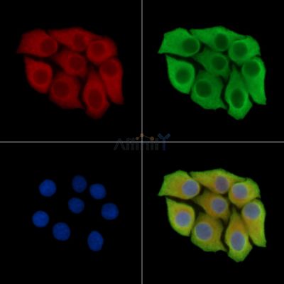 Валидация Affinity DF14086 - 9876