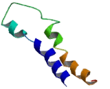 MAS Related GPR Member X1 (MRGPRX1) MAS Related GPR Member X1 (MRGPRX1)