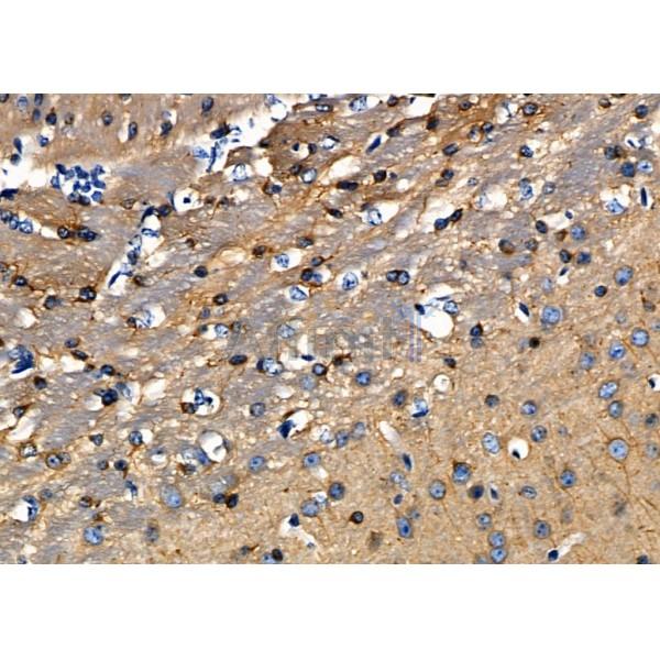 Валидация Affinity DF6440 - 17818