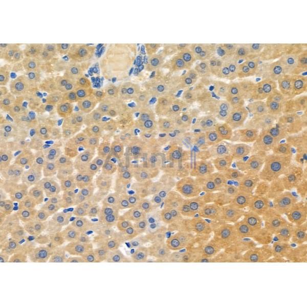 Валидация Affinity DF9739 - 22546