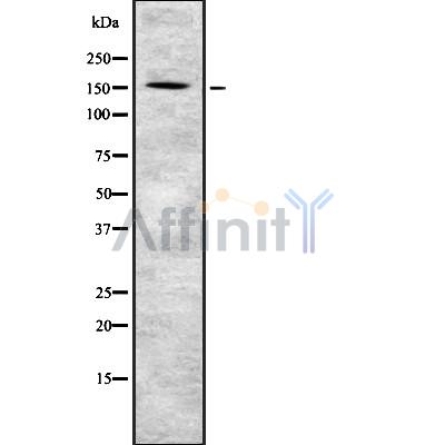 Валидация Affinity DF8424 - 20298