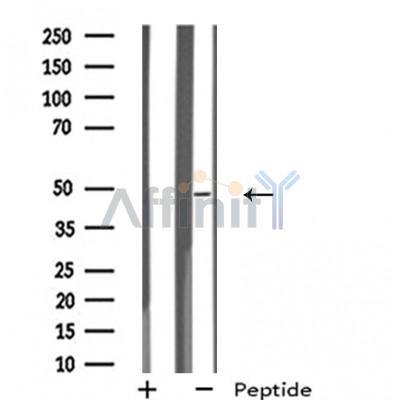 Валидация Affinity DF4922 - 16739