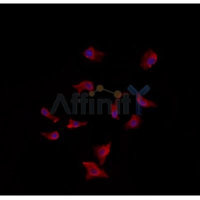 Валидация Affinity DF3527 - 14466