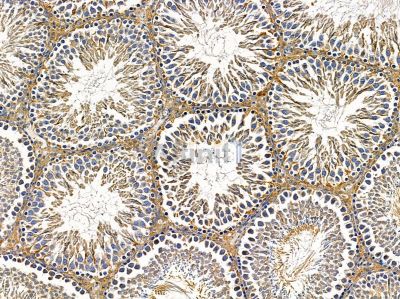 Валидация Affinity DF14488 - 10468