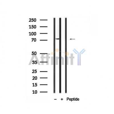 Валидация Affinity AF7818 - 4541
