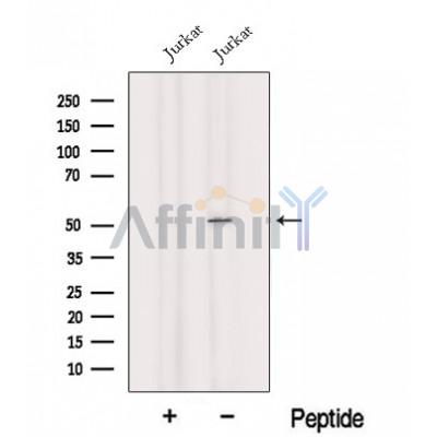Валидация Affinity DF12638 - 7278