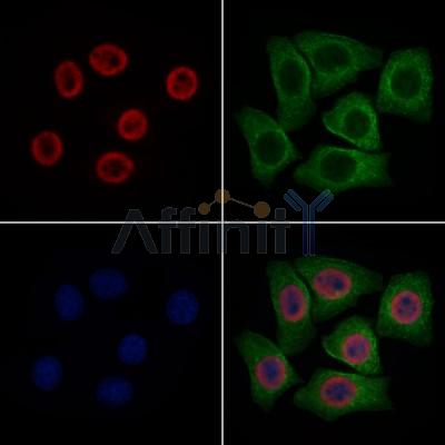 Валидация Affinity DF7258 - 18920