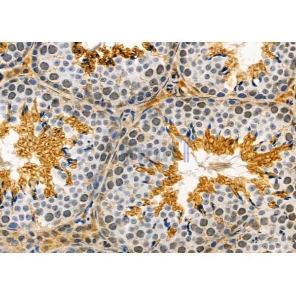 Валидация Affinity DF9192 - 21573