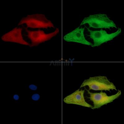 Валидация Affinity DF13832 - 9523