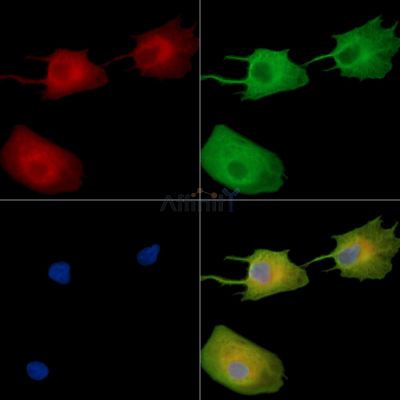 Валидация Affinity DF14734 - 10812