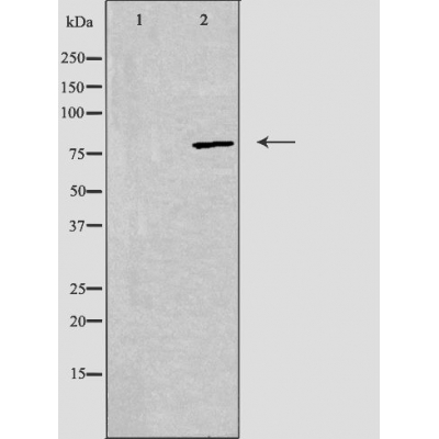 Валидация Affinity DF3509 - 14432