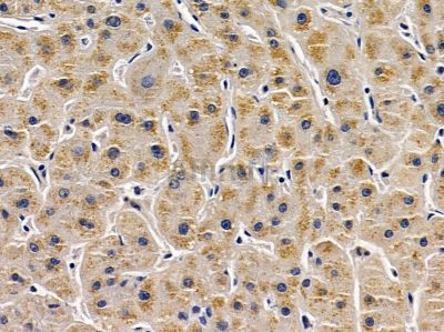 Валидация Affinity DF4210 - 15573